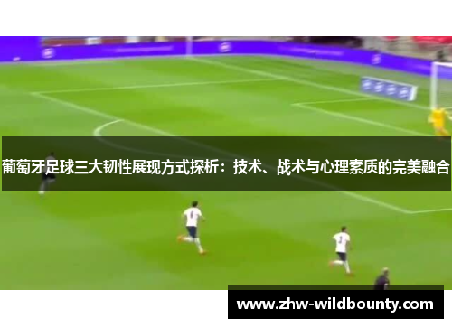 葡萄牙足球三大韧性展现方式探析：技术、战术与心理素质的完美融合