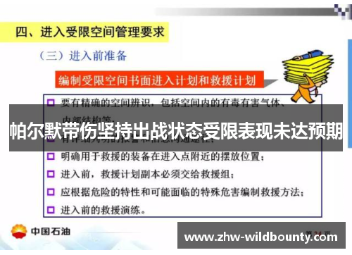 帕尔默带伤坚持出战状态受限表现未达预期 帕尔默带伤坚持出战状态受限表现未达预期