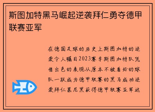 斯图加特黑马崛起逆袭拜仁勇夺德甲联赛亚军 斯图加特黑马崛起逆袭拜仁勇夺德甲联赛亚军